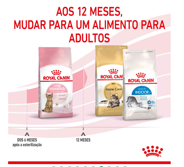 Ração para Gato Esterilizado Júnior